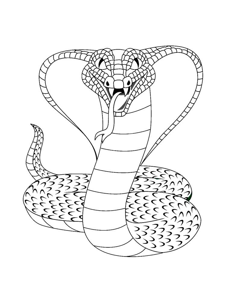 Cobra coloring pages animal coloring pages coloring pages boho art drawings