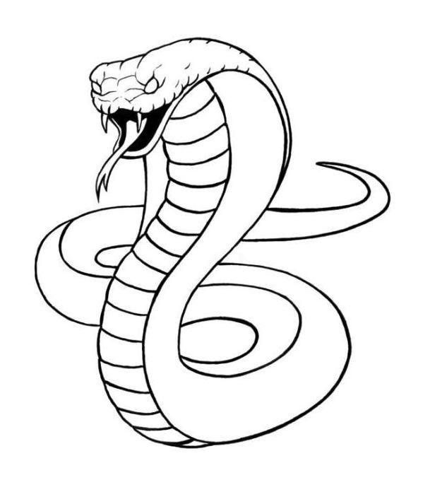 King cobra snake coloring sheet dibujo de serpiente serpiente pa dibuj pãginas pa colore de animales