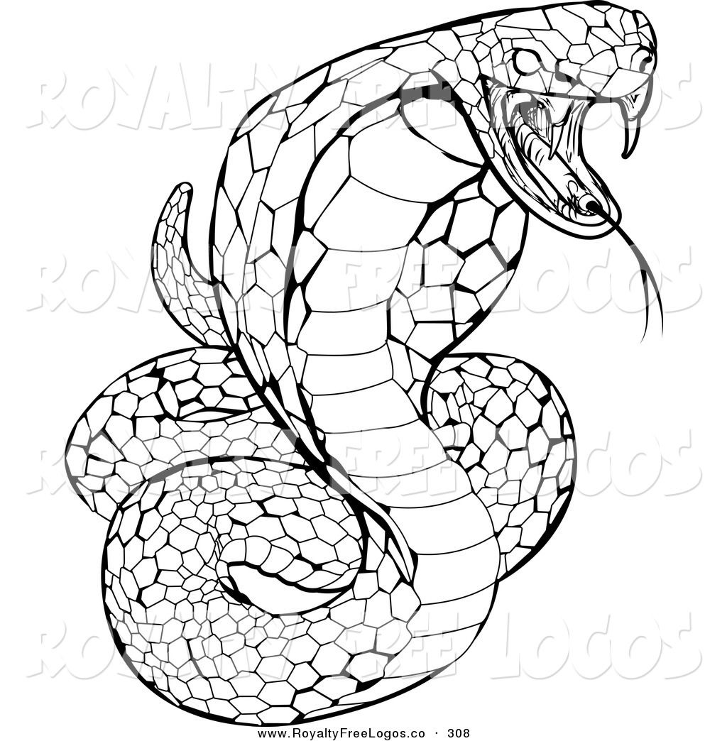 Snake coloring pages king cobra snake snake drawing