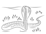 Cobra coloring pages free coloring pages