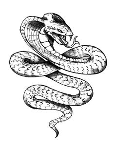 King cobra coloring pages ideas king cobra coloring pages cobra