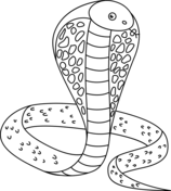 Cobra coloring pages free coloring pages