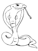 King cobra coloring page free printable coloring pages