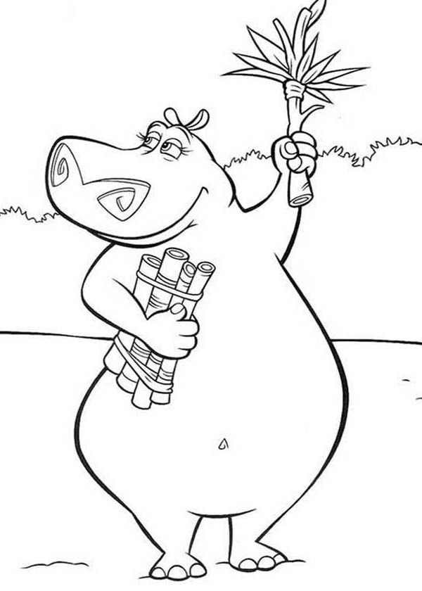 Madagascar pictures to colour
