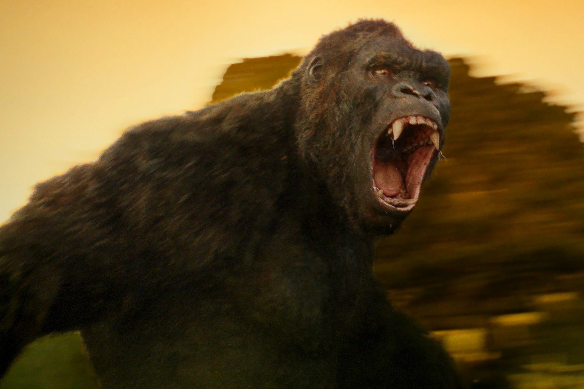 King kong wiki