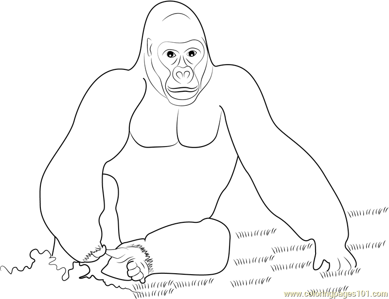 King kong gorilla coloring page for kids