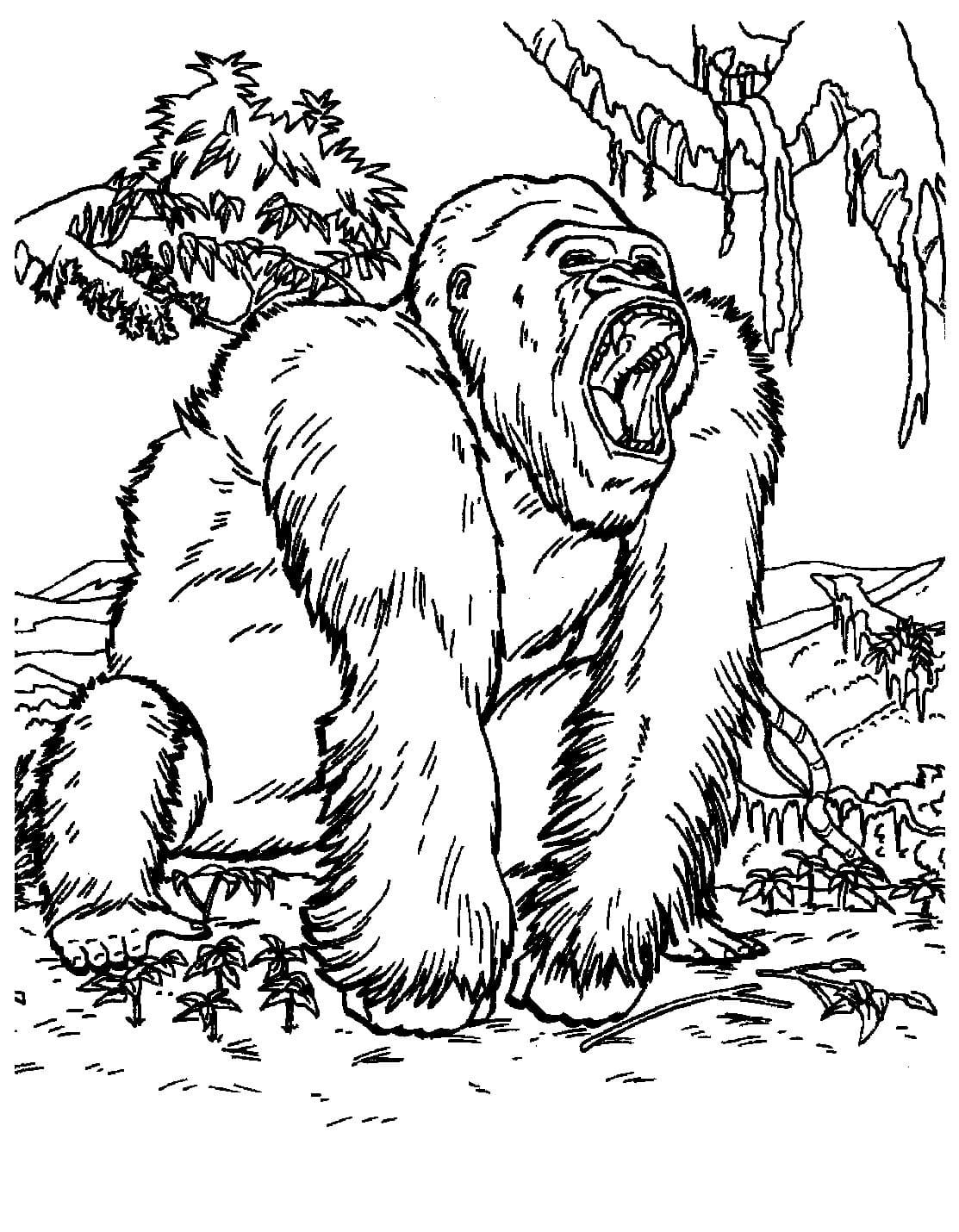 Cool king kong coloring pages printable pdf