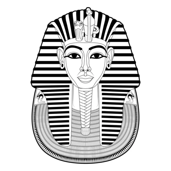 King tut vector images