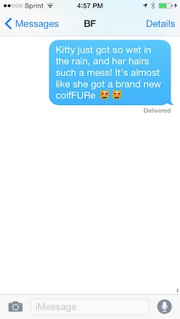 What do all the cat emoji mean all your questions answered including how to use them