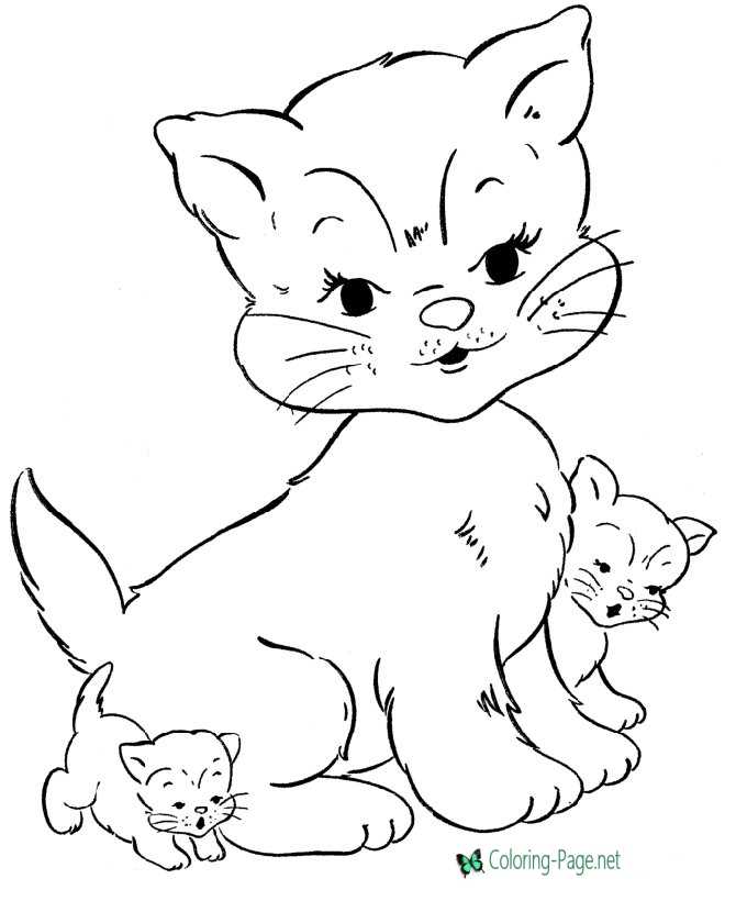 Kitten and cats pages for coloring