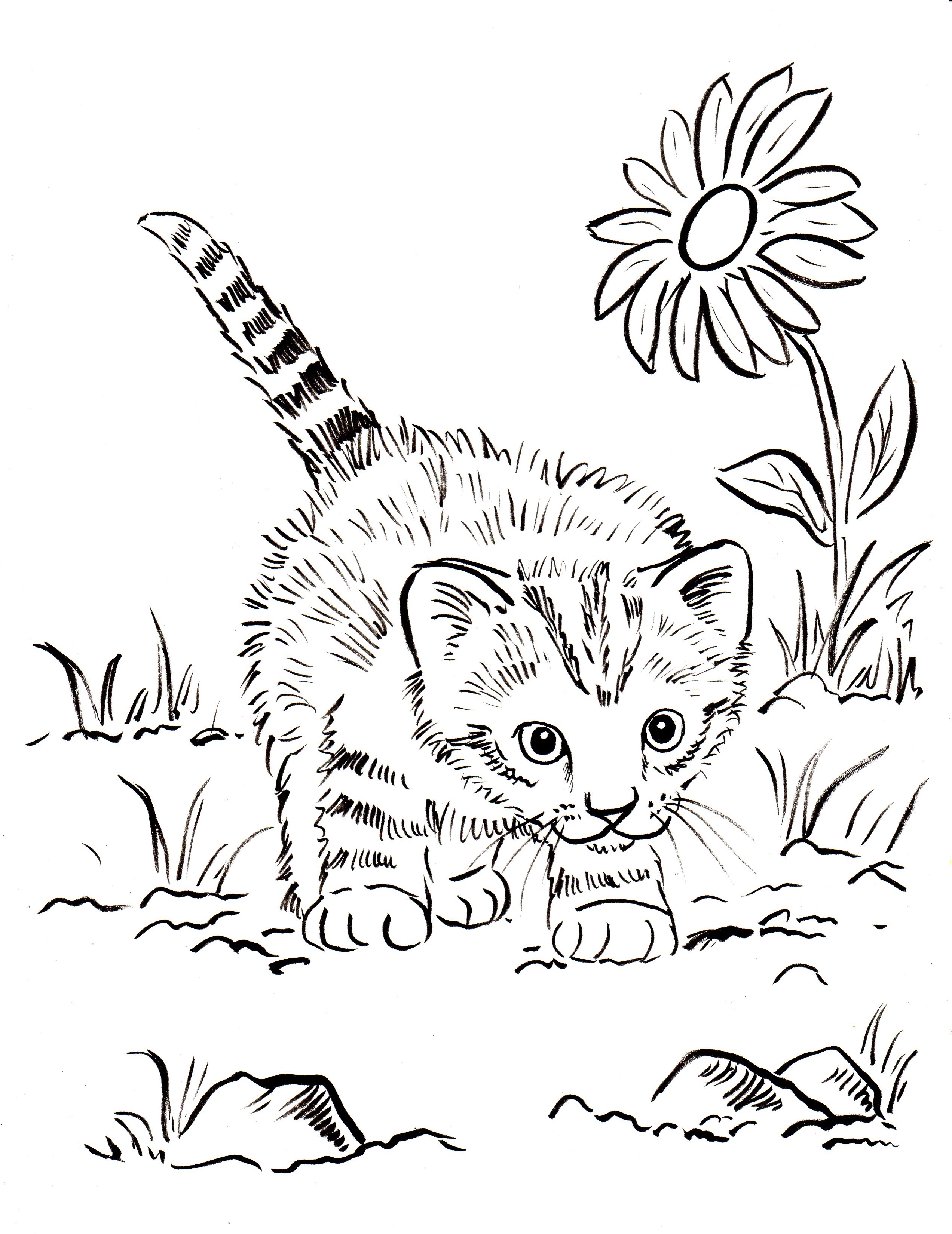 Kitten coloring page
