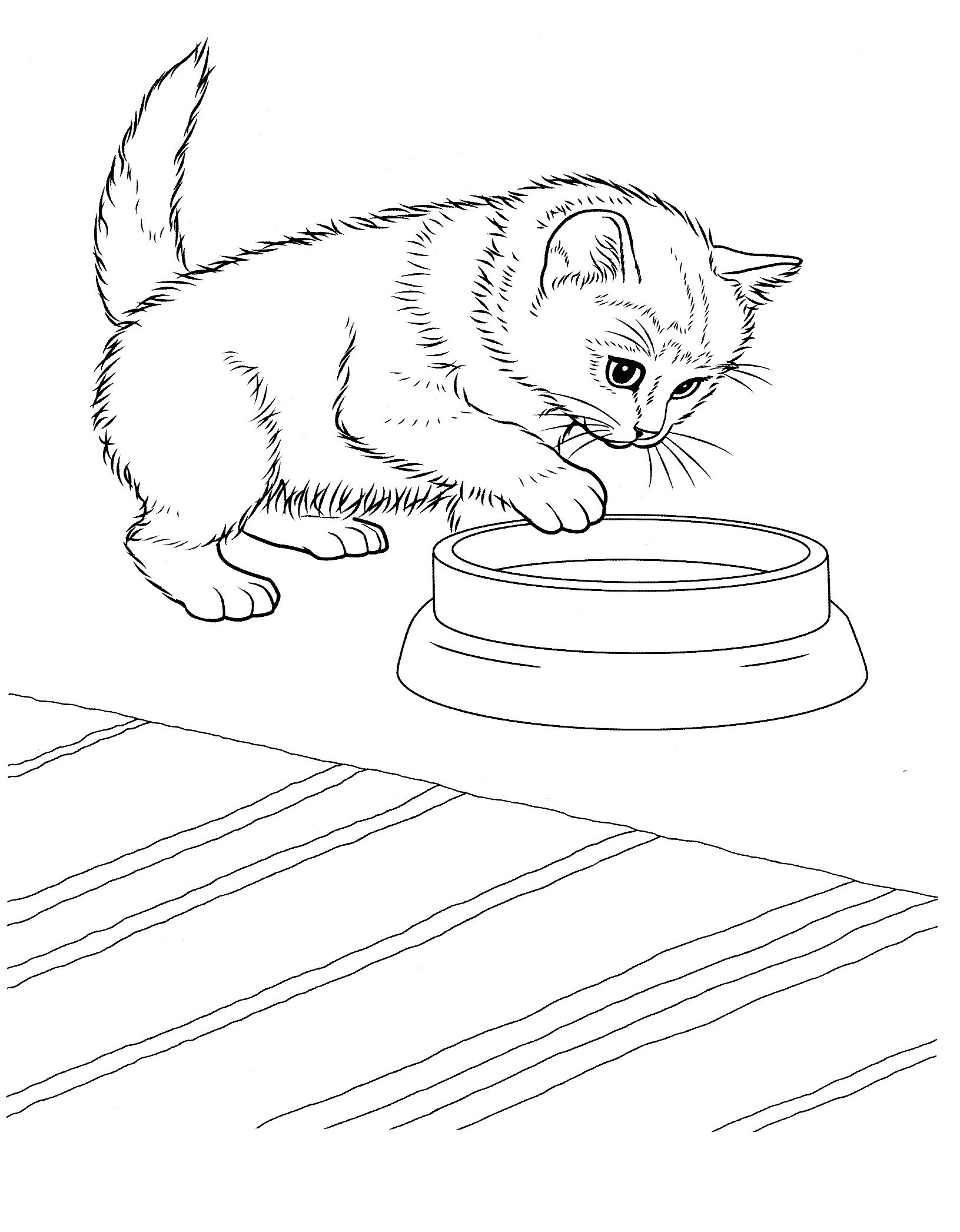 Free printable kitten coloring pages for kids