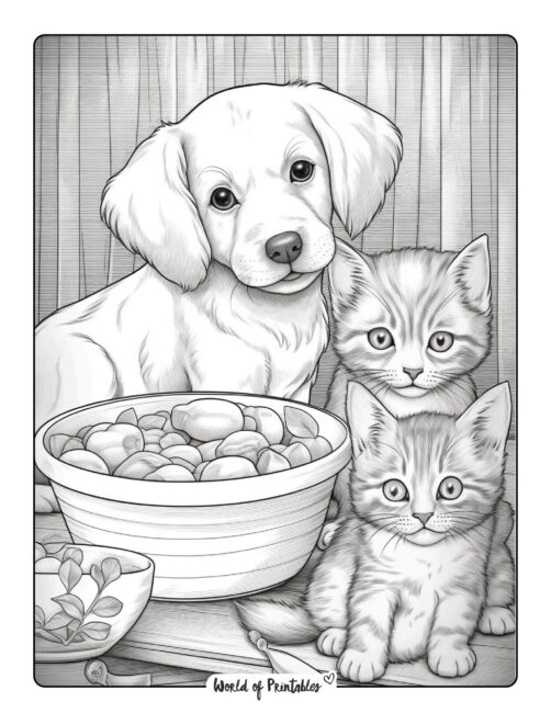 Kitten coloring pages