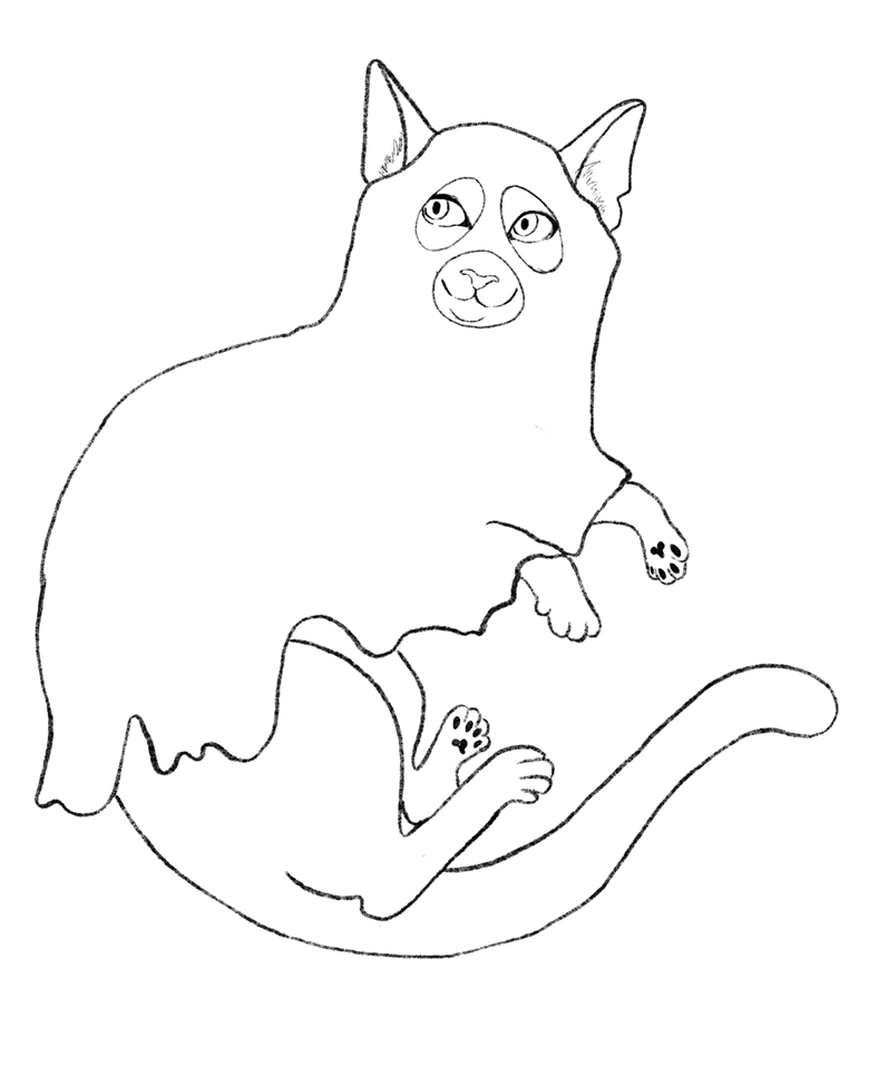 Ghost kitty ð coloring page