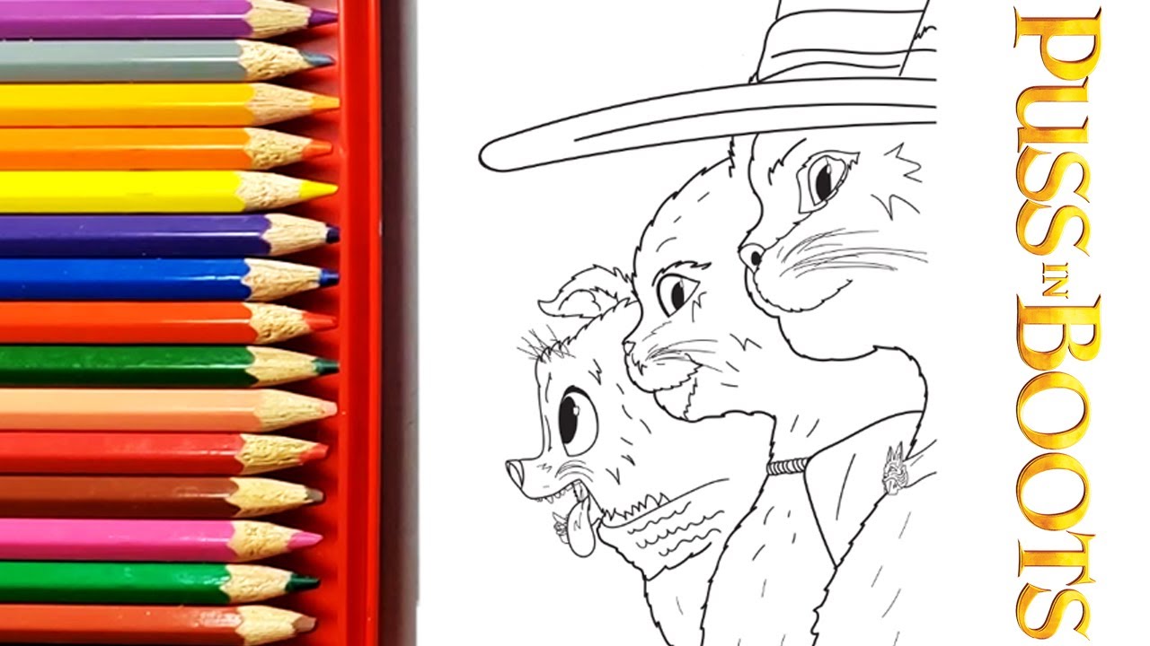 Draw and color puss in boots kitty softpaws and perrito from puss in boots the last wish