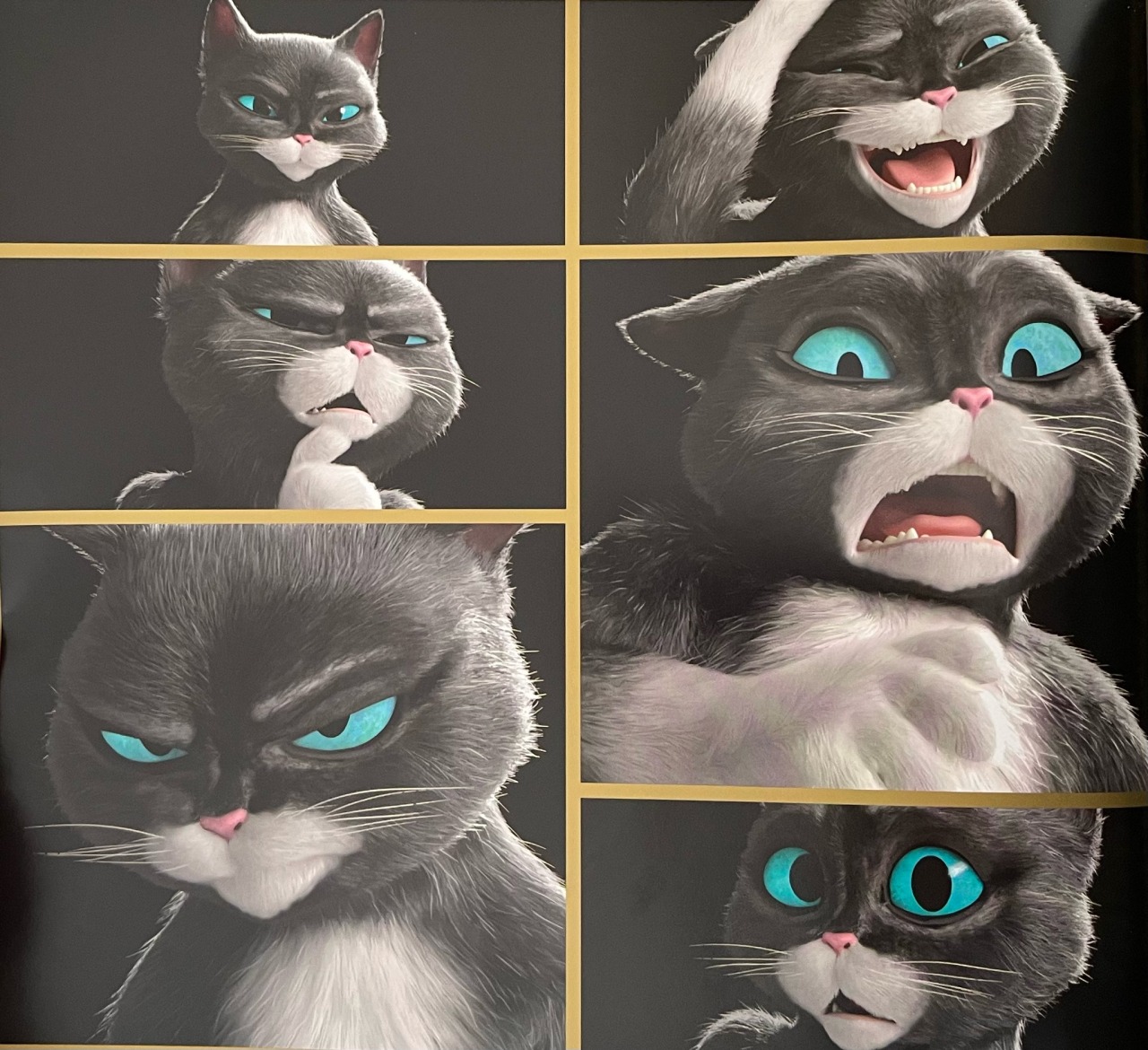 The zing channel â âkitty softpaws is a character that is all about