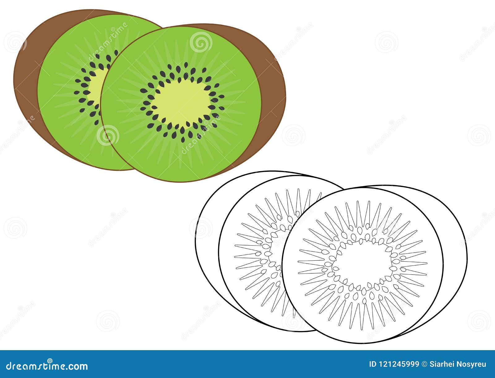 Kiwi fruit coloring page game for fids vector illustration stock vector