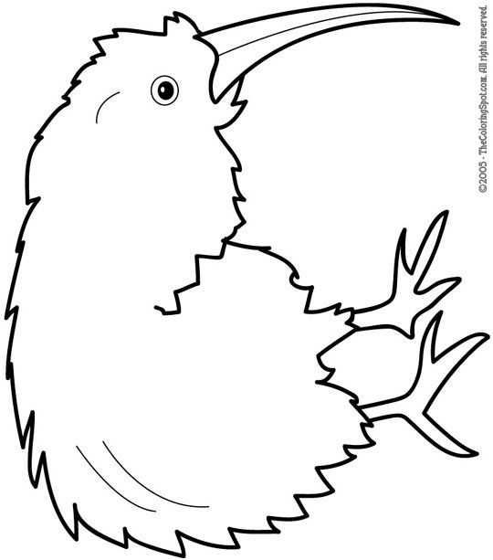 Kiwi coloring page audio stories for kids free coloring pages colouring printables