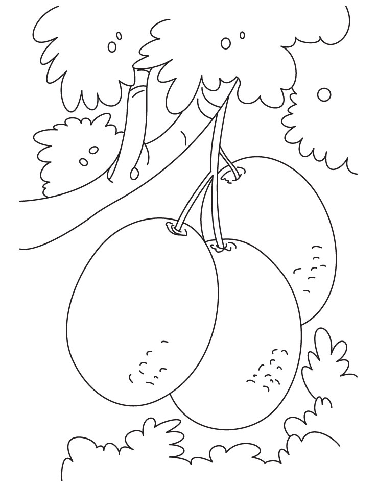 Bunch of kiwi fruit coloring pages download free bunch of kiwi fruit coloring pages for kids best coloring pages