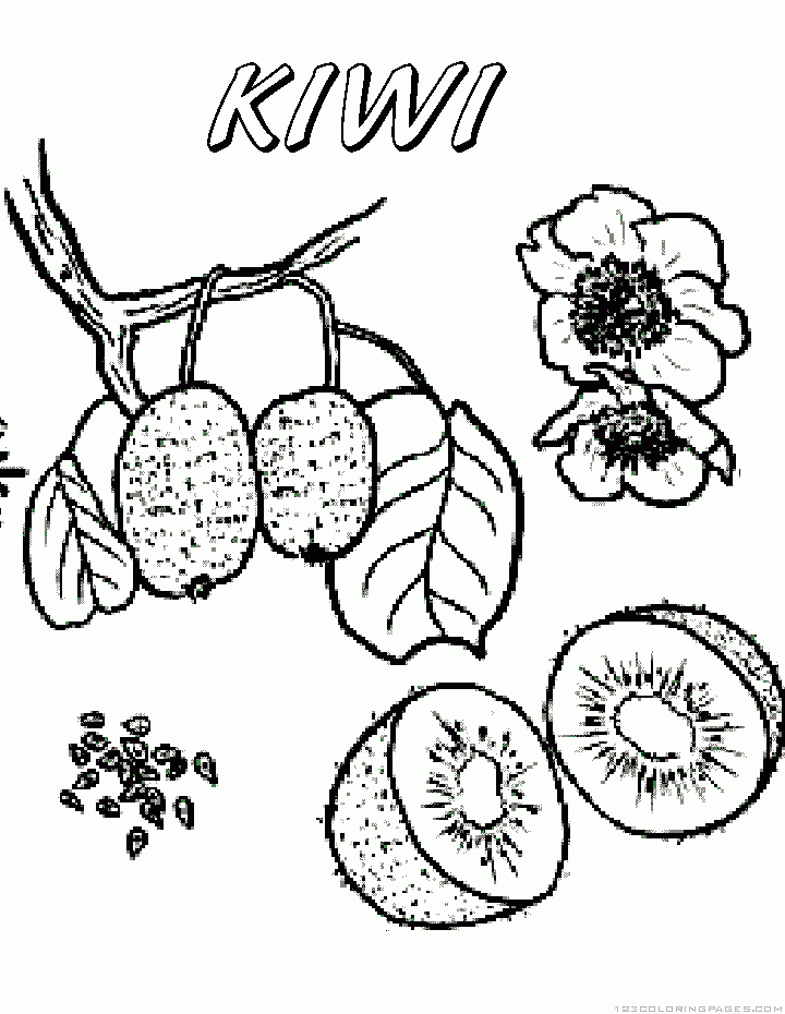 Kiwi fruit coloring pages