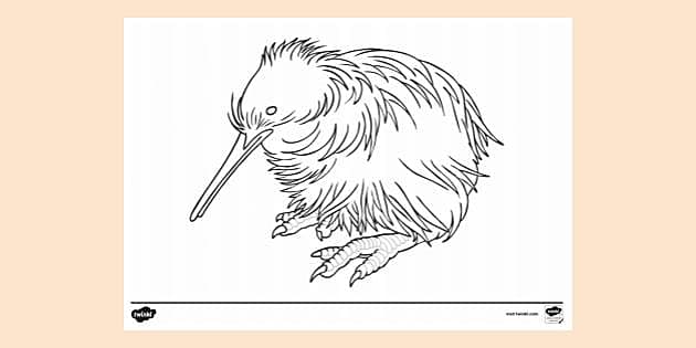 Kiwi chick normal eyes colouring sheet colouring sheets