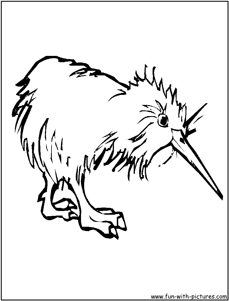 Kiwi coloring page