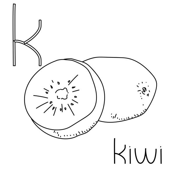 Coloring page fruit and vegetable abc letter k kiwi educated coloring card stock illustration
