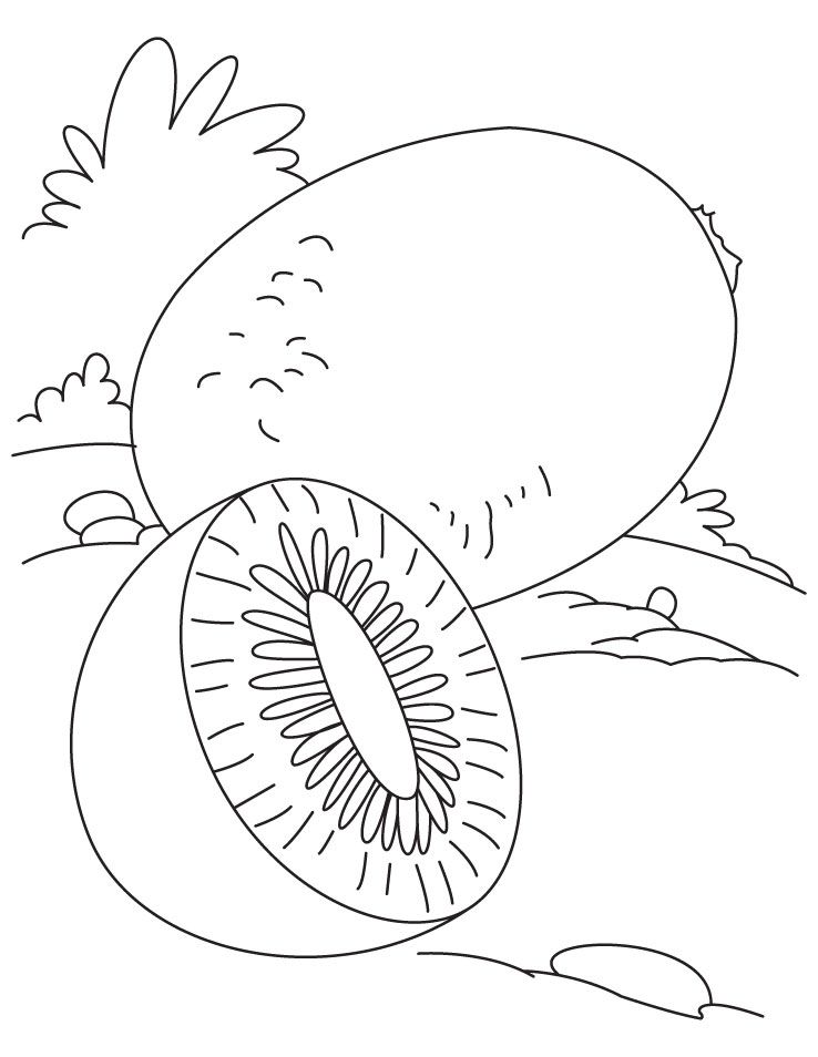 Kiwi