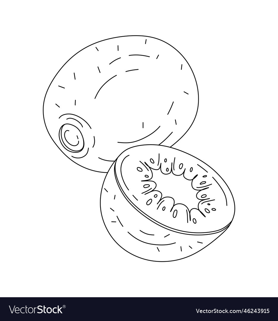 Kiwi doodle coloring book for kids royalty free vector image