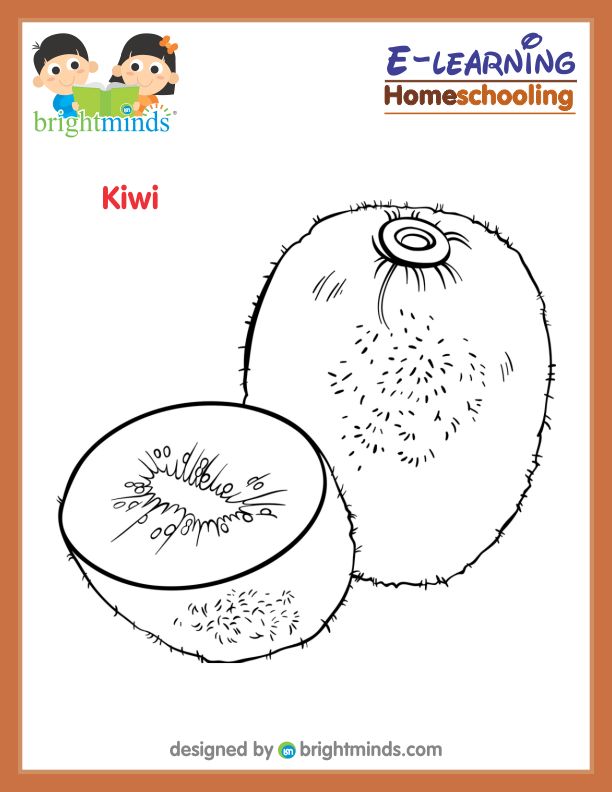 Kiwi coloring sheet bright minds platform