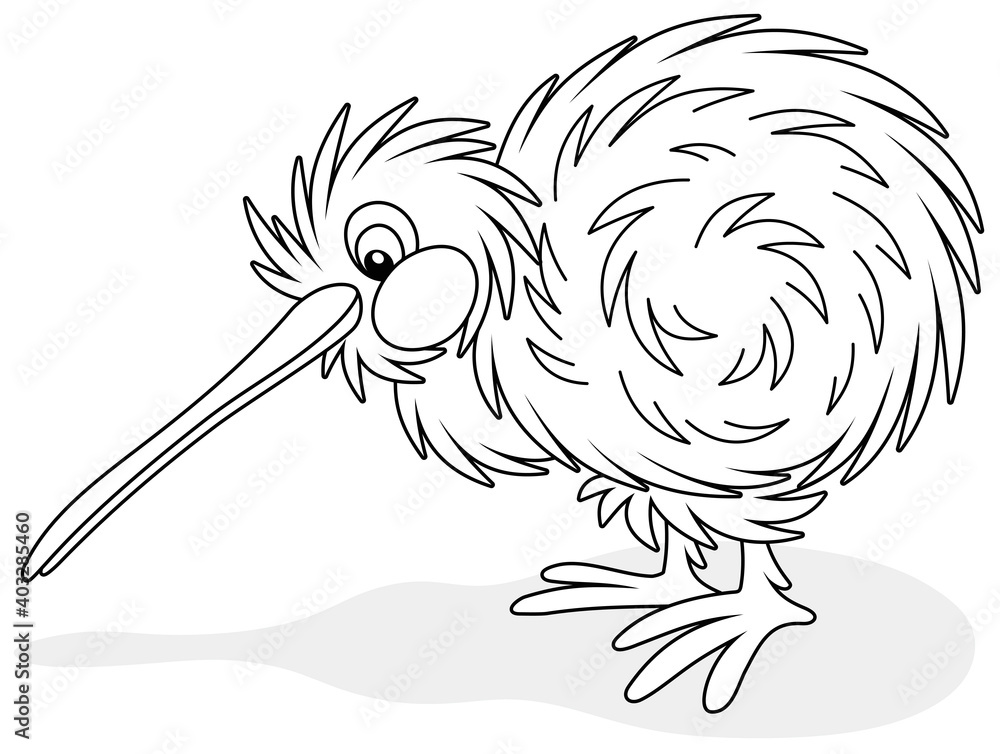 Amusing flightless new zealand kiwi bird with shaggy feathers and a long bill black and white outline vector cartoon illustration for a coloring book page vector