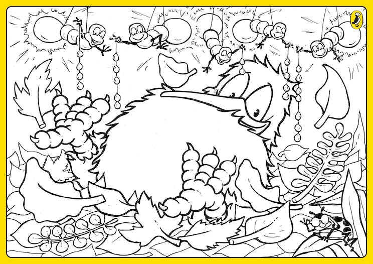 Little kiwi louring sheet