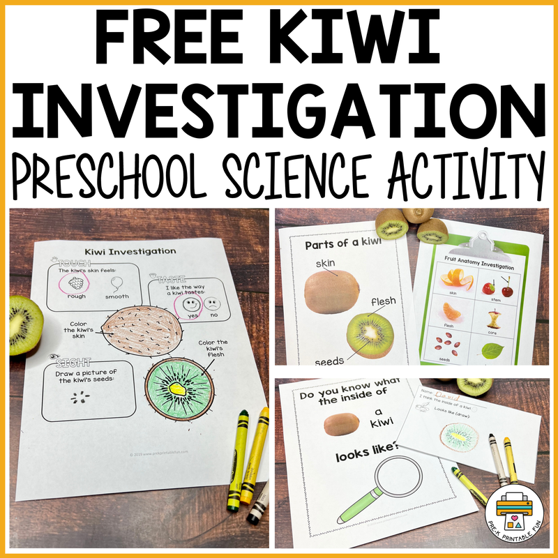 Free kiwi investigation activity