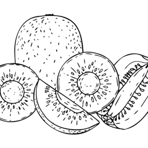 Kiwi fruit coloring pages printable for free download