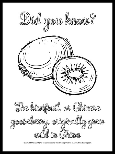 Free printable kiwifruit coloring page with fun fact â the art kit