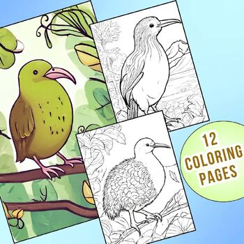 Adorable kiwi bird coloring pages that will brighten your day