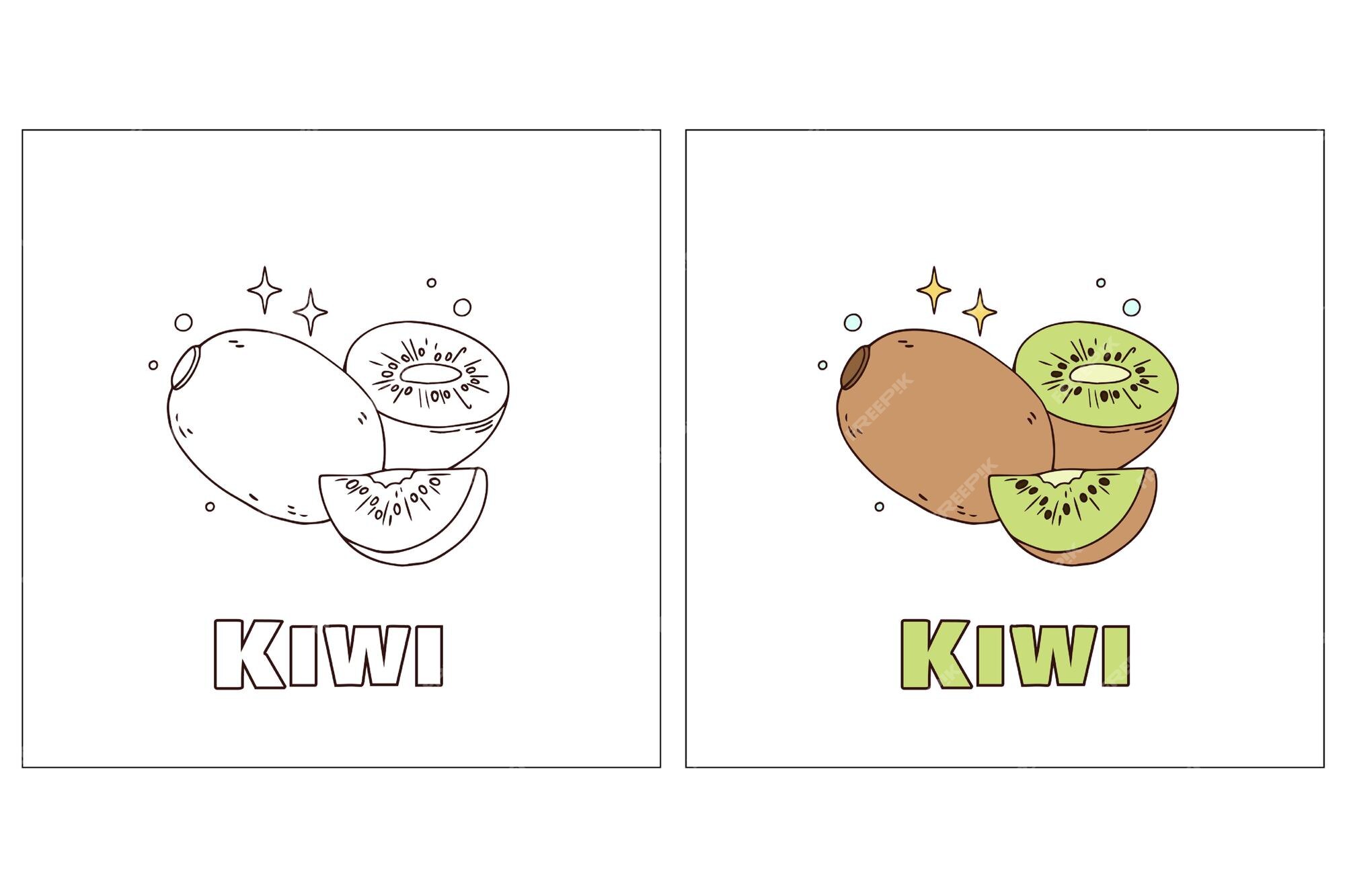 Premium vector kiwi hand drawn coloring page
