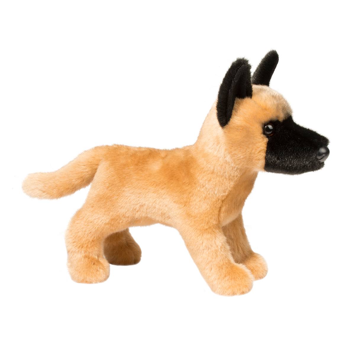 Klaus belgian malinois