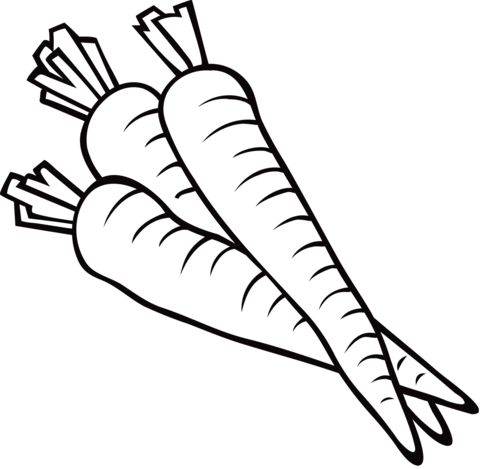 Carrot coloring page free printable coloring pages