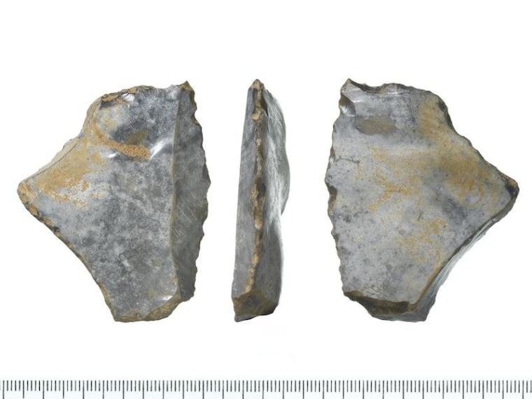 Caveman campsite unearthed at construction site in london