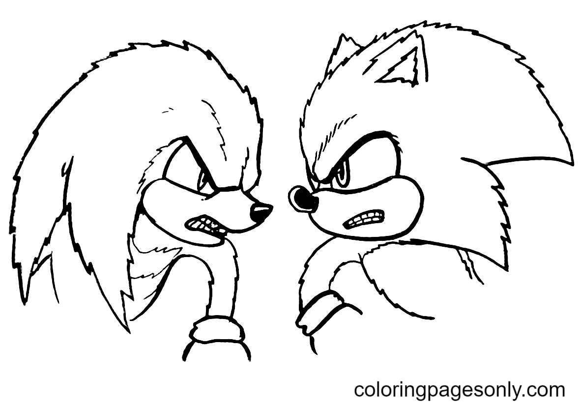 Sonic the hedgehog