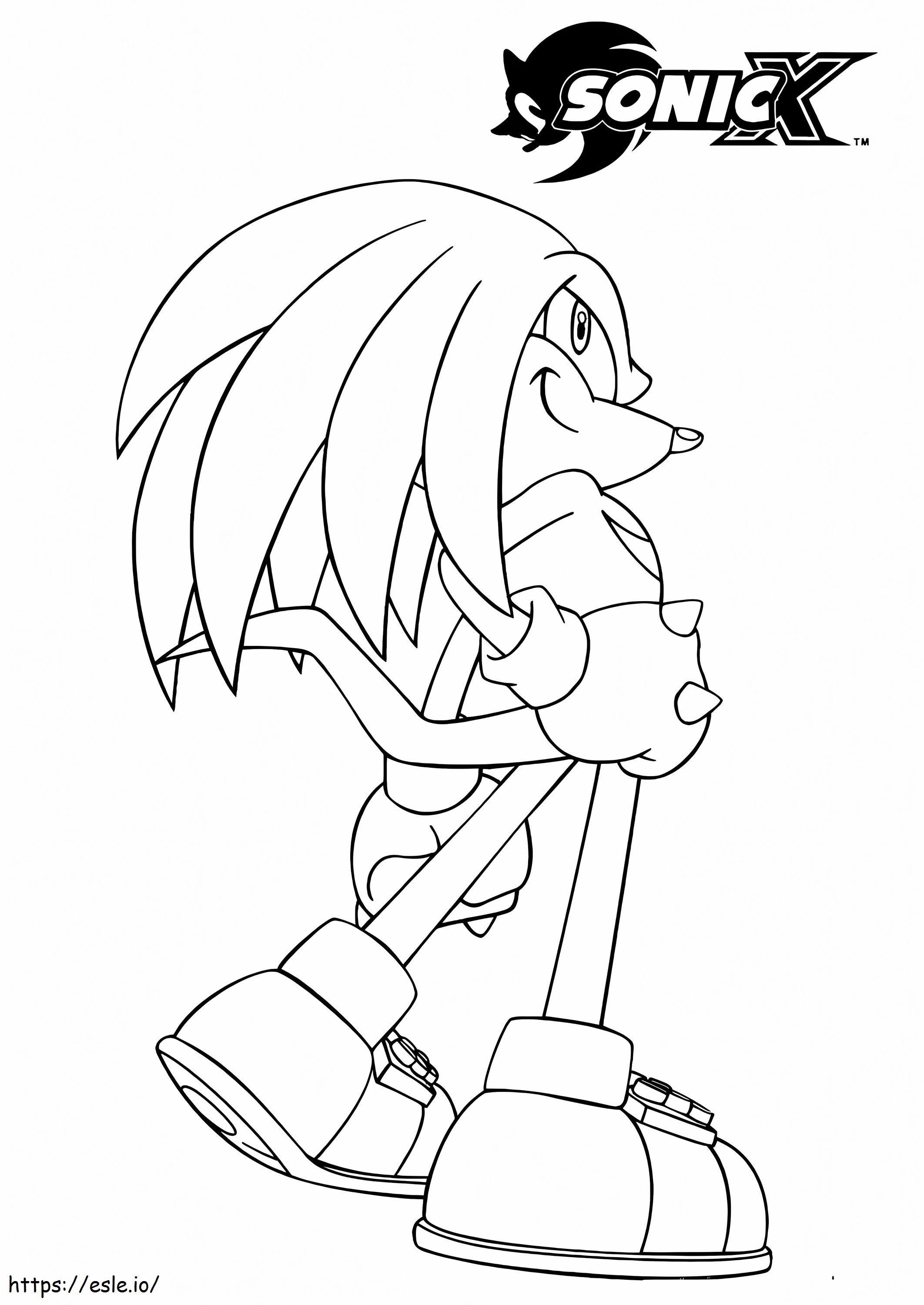 Sonic x knuckles the echidna coloring page