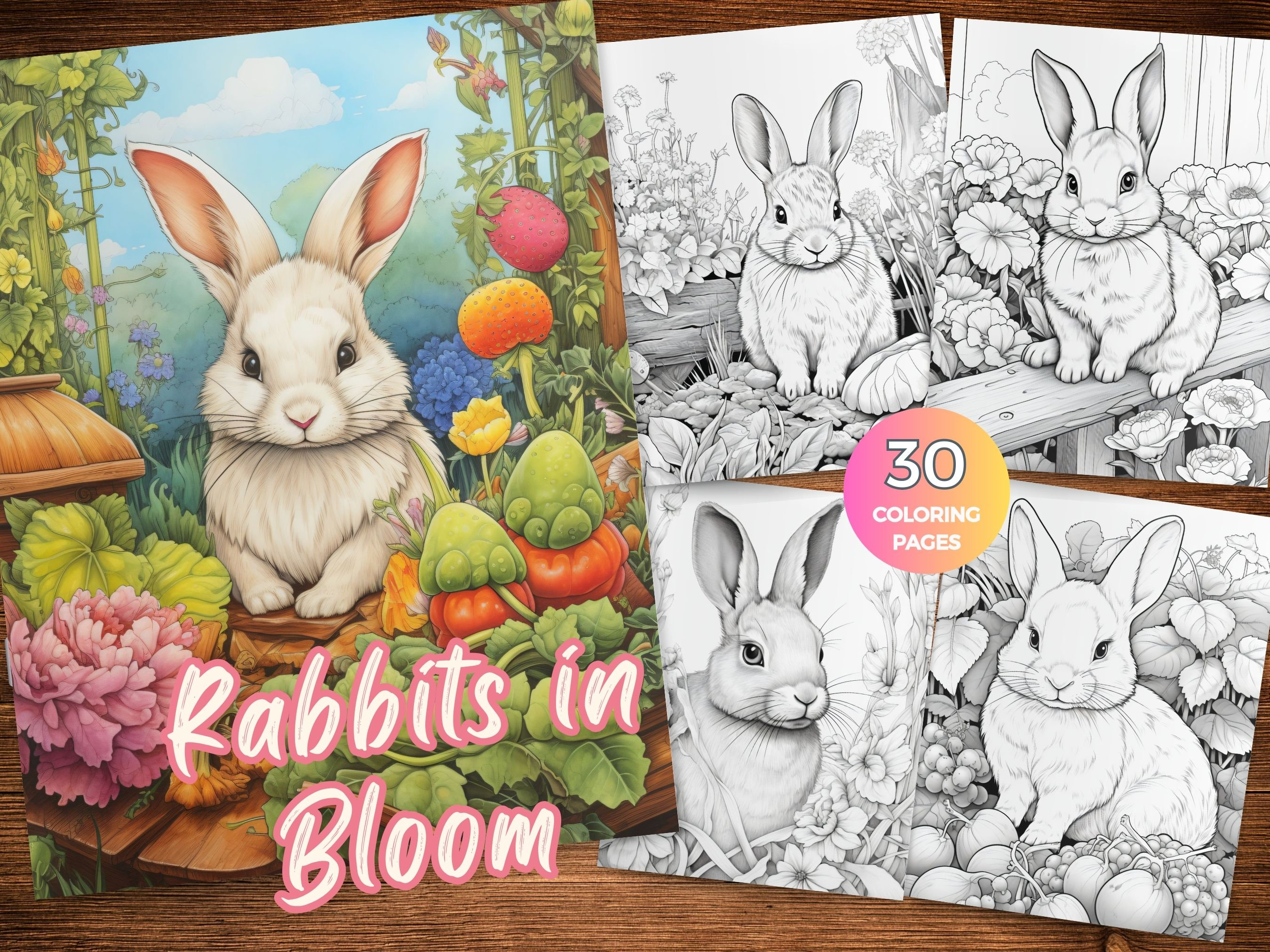Bunny picture book