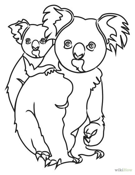 How to draw koala bears steps with pictures koala drawing koala illustration drawings