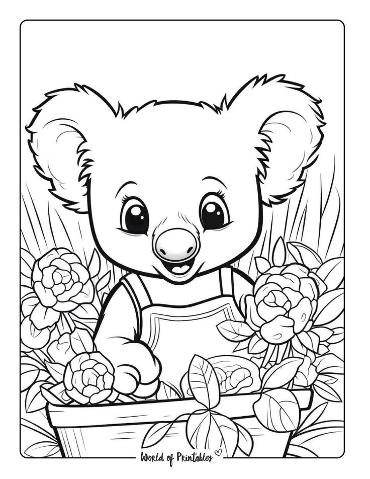 Koala coloring pages free printable coloring pages animal coloring pages koala drawing