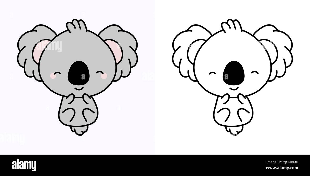 Koala bear baby australia cut out stock images pictures