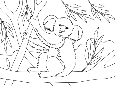 Koala coloring page free printable coloring pages