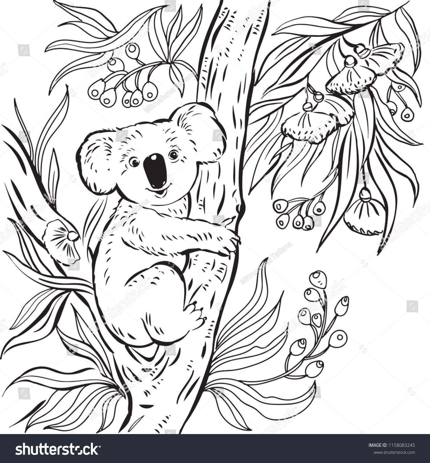 Koala on eucalyptus tree illustration childrens stock vector royalty free