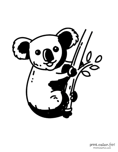 Free cute koala coloring pages clipart printables at
