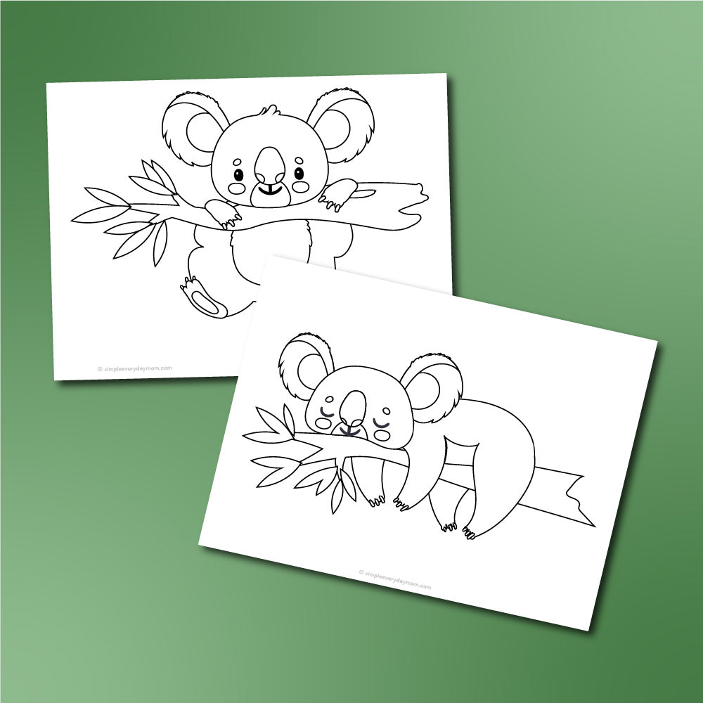 Koala coloring pages for kids â simple everyday mom